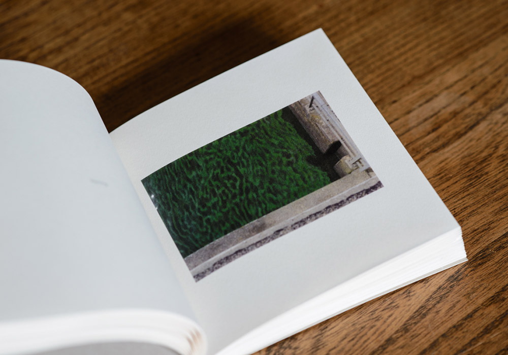 Visuele identiteit van iskape en lay-out van een boek