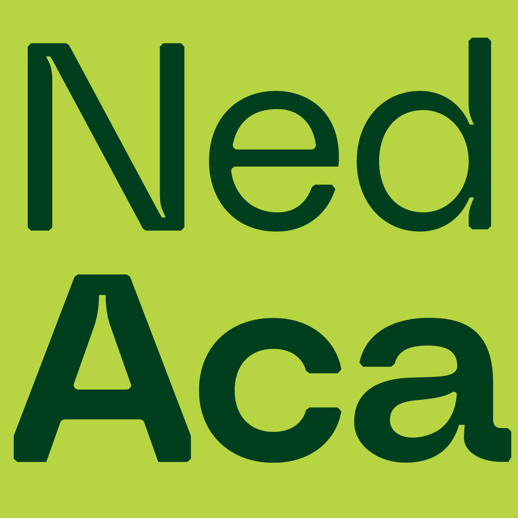 Nederlandse Academie